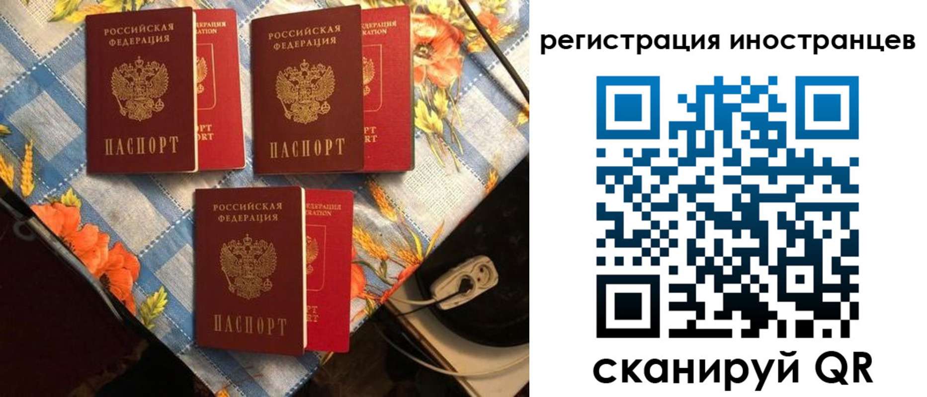прописка поиск в Великом Устюге